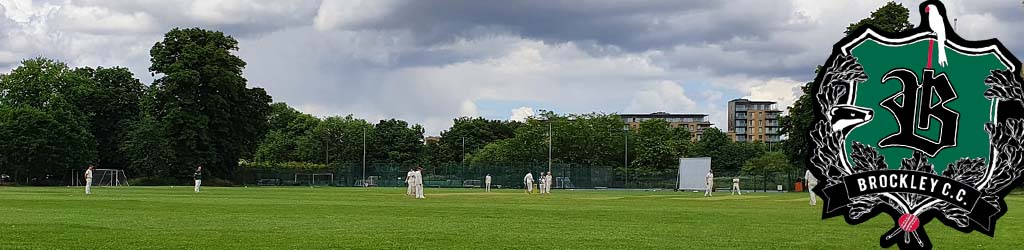 Hilly Fields